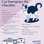Infographic displaying essential supplies and medical contacts for a cat emergency and safety kit