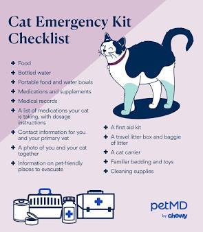 Infographic displaying essential supplies and medical contacts for a cat emergency and safety kit