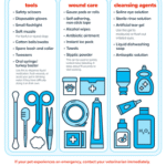 Illustrated pet first aid kit checklist highlighting essentials for dog emergency and safety response