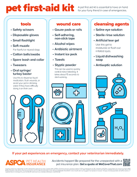 Illustrated pet first aid kit checklist highlighting essentials for dog emergency and safety response