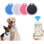 dog wearing a GPS dog tracker collar attachment while walking outdoors