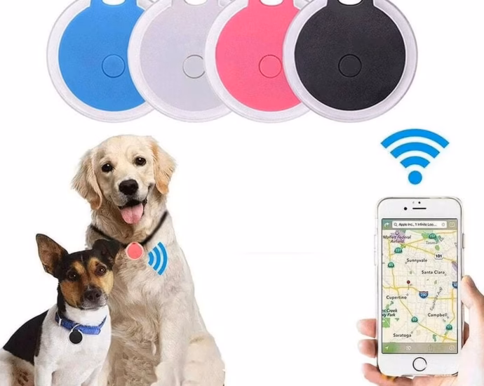 dog wearing a GPS dog tracker collar attachment while walking outdoors