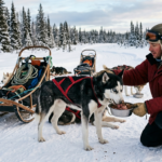 Husky Working Diet shown with a sled Husky eating during training season