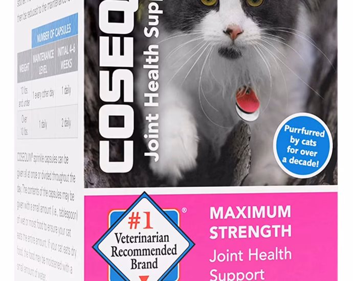 Cosequin for cats capsule opened next to sprinkle powder on a spoon