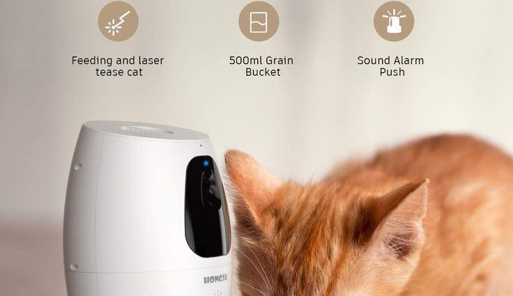 smart pet camera dispensing a treat to a cat while owner watches via app
