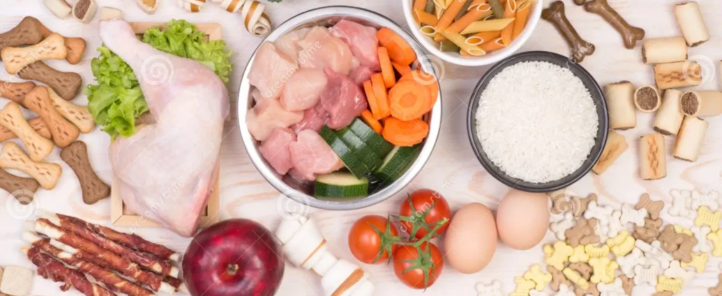 Bowl of fresh vegetables, meat, and kibble representing a healthy dog diet