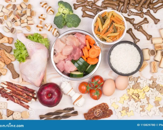 Bowl of fresh vegetables, meat, and kibble representing a healthy dog diet