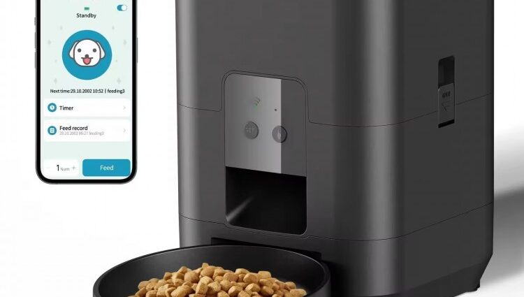 smart pet feeder dispensing kibble automatically for a dog at home