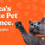 Spot Pet Insurance promotional banner featuring a grey cat and a golden retriever puppy with the text America's Favorite Pet Insurance