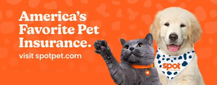Spot Pet Insurance promotional banner featuring a grey cat and a golden retriever puppy with the text America's Favorite Pet Insurance