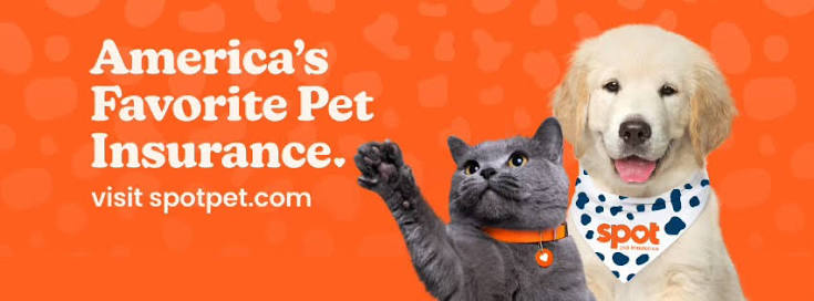 Spot Pet Insurance promotional banner featuring a grey cat and a golden retriever puppy with the text America's Favorite Pet Insurance
