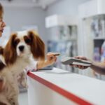 Pet owner paying for services at a veterinary clinic reception desk while holding a small dog