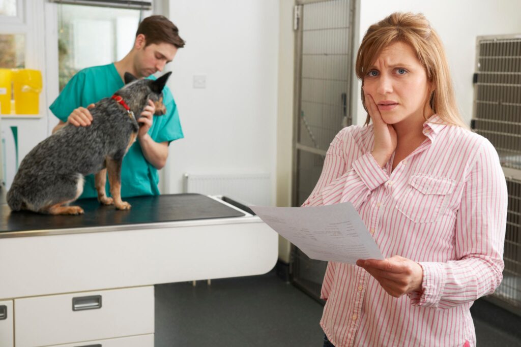 Concerned pet owner reviewing an itemized veterinary invoice next to an ill pet